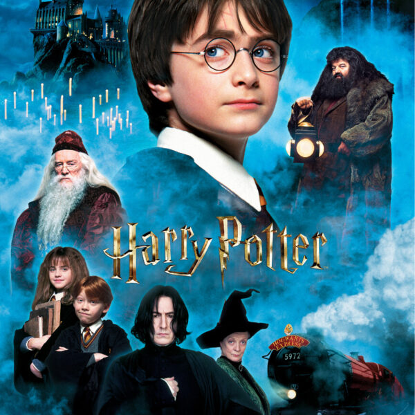 Jestiva pokrivka Harry Potter