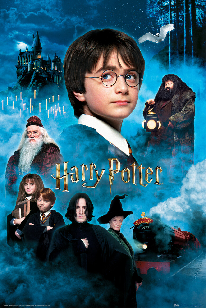 Jestiva pokrivka Harry Potter